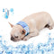 Collar Refrescante de Gel para Mascotas - Alivio Instantáneo del Calor