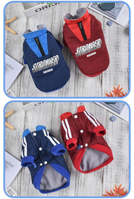 Abrigo Térmico V para Perros - Diseño Acolchado y Resistente - Image 13
