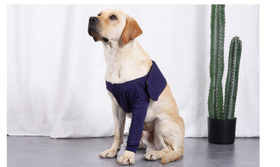 Manga Protectora Antilamido para Recuperación Postoperatoria de Perros - Image 11