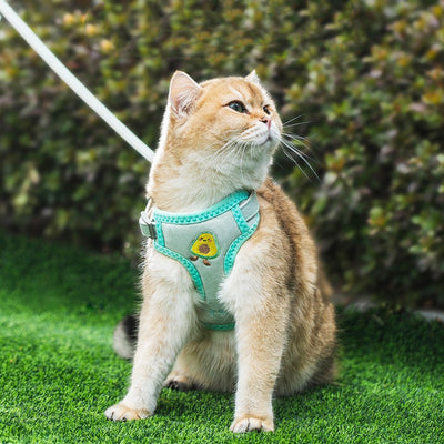 Correa de Tracción Reforzada para Gatos - Resistente y Segura