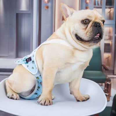 Pantalones Fisiológicos Ajustables para Perras con Diseño de Pug - Image 7