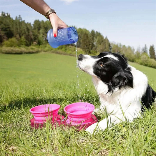 Comedero Doble Plegable de Goma para Mascotas - Perros y Gatos - Image 19