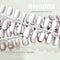 SM 0006 Completo XS S M