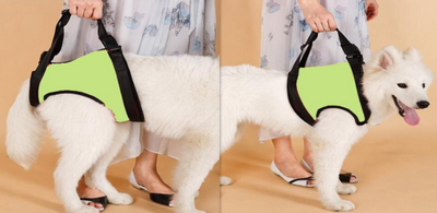 Arnés de Apoyo para Perros Mayores y con Movilidad Reducida - Image 7