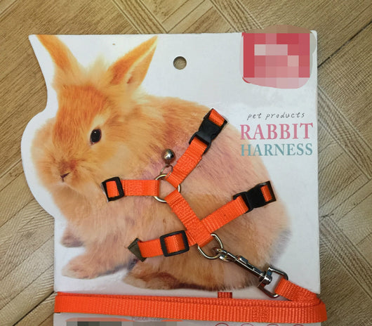 Cuerda de amarre para mascotas pequeñas - Image 6