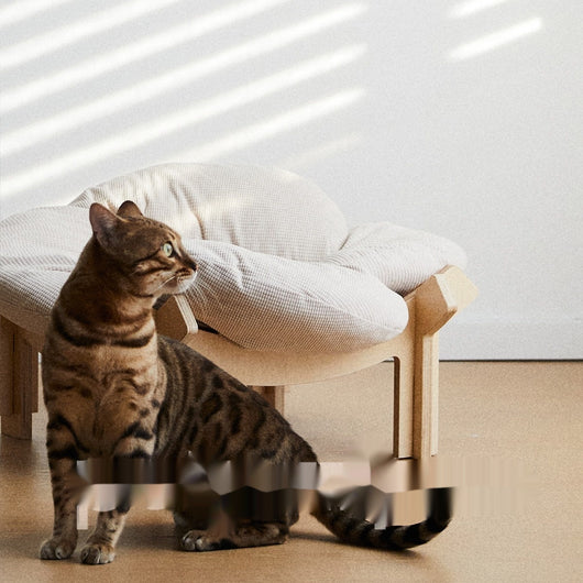 Cama Plegable para Gatos Diseño Océano - Nido Decorativo Confortable - Image 4
