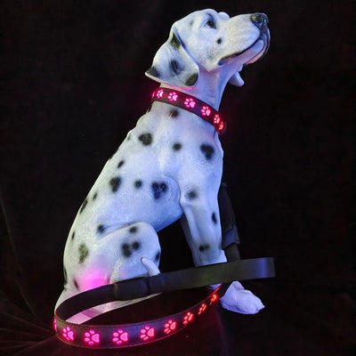 Collar LED Luminoso 7 Colores para Perros y Gatos con Carga USB - Image 6