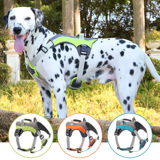 Arnés Deportivo para Perros Grandes - Resistente, Transpirable y Seguro