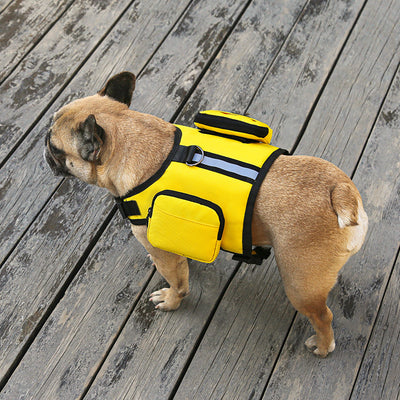 Mochila Portátil Multifunción para Mascotas con Correa