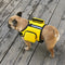 Mochila Portátil Multifunción para Mascotas con Correa