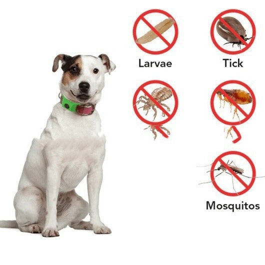Pink pet collar accessory in front of a circular flea and tick collar label with two dogs. - Image 2