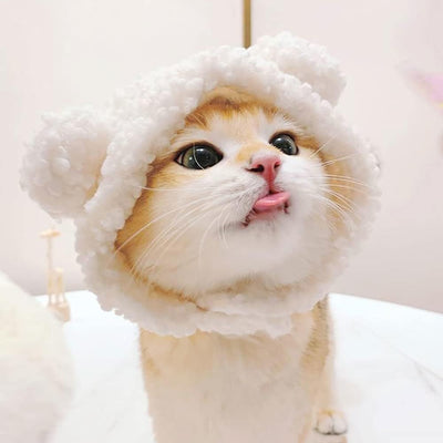 Gorro Disfraz de Osito Cálido para Gatos y Mascotas Pequeñas - Image 7