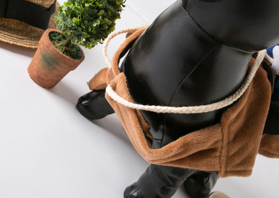 Ropa Personalizada para Perros - Disfraz Divertido en Denim para Corgi, Golden Retriever y Mascotas - Image 11