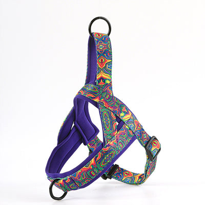 Arnés para Perro con Correa de Mano y Pechera de Soporte - Image 8