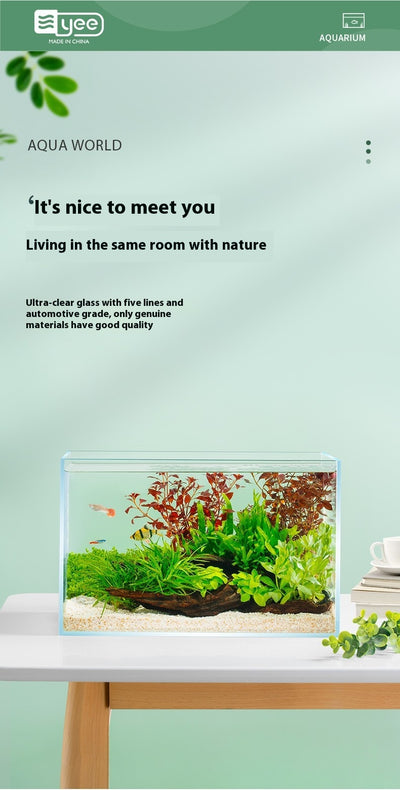 Acuario de Cristal Blanco Premium para Escritorio - Image 10
