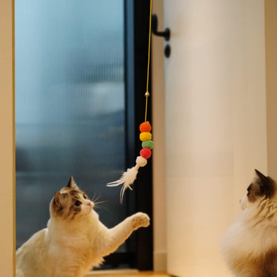 Juguete Interactivo Retráctil para Gatos con Catnip - 200cm de Diversión - Image 14