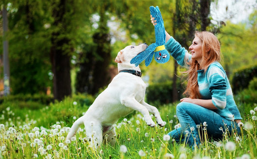 Juguete Interactivo Pulpo para Perros - Peluche con Texturas y Sonidos Crujientes - Image 12
