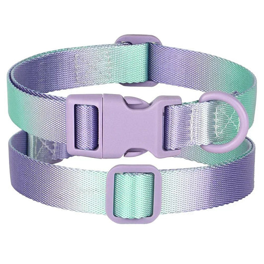 Collar Ajustable para Perros y Gatos - Diseño Degradado Moderno - Image 18