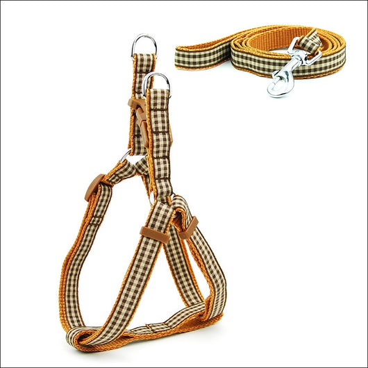 Arnés Pechera para Perros Pequeños y Medianos con Estampado de Lunares - Image 21