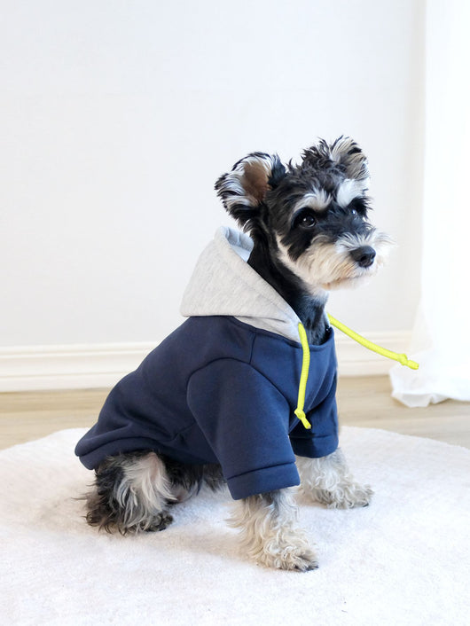 Sudadera con Capucha para Mascotas - Diseño Bicolor Moderno - Image 9