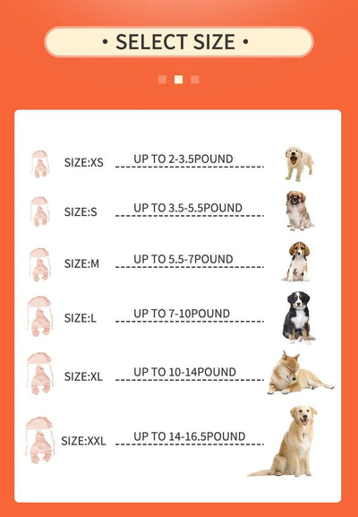 Conjunto de Ropa para Perro Mono Naranja con Gorro - Outfit Fashionable para Mascotas Pequeñas - Image 9