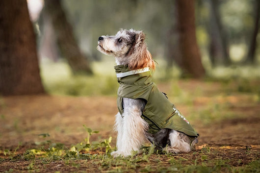 Poncho Impermeable Reflectante para Perros - Protección Total en Lluvia y Viento - Image 17
