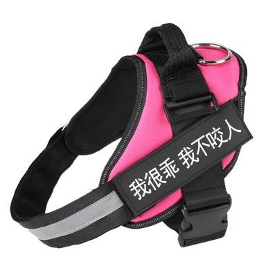 Arnés Personalizado para Perros Sin Tirón Reflectante Respirable Ajustable - Image 29