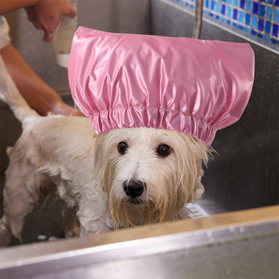 Gorro de Baño Impermeable Ajustable para Perros y Gatos - Image 7