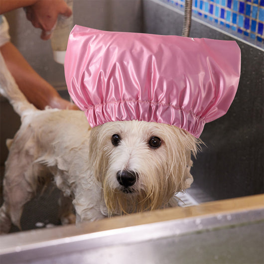 Gorro de Baño Impermeable Ajustable para Perros y Gatos - Image 7