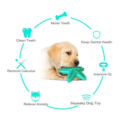 Juguete Limpiador de Dientes para Perros Grandes - Estrella Interactiva con Sonido Chirriante - Image 5