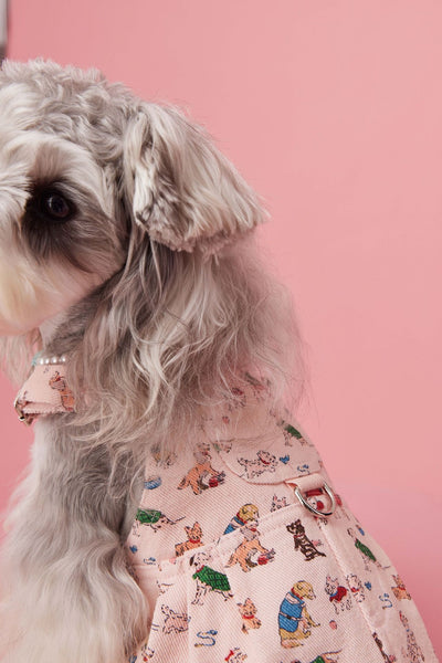 Falda Denim con Tirantes para Perros Pequeños Schnauzer y Maltés - Image 24