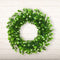 Anillo Decorativo Verde de Plástico para Puerta - Adorno del Hogar