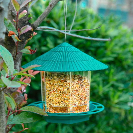Comedero Colgante Transparente para Pájaros de Jardín