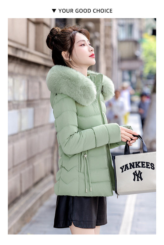 Chaqueta Acolchada de Algodón con Gorro Desmontable - Image 15