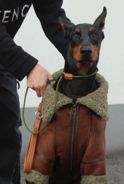 Abrigo de Cuero con Terciopelo Winter Plus para Perros Grandes - Image 10
