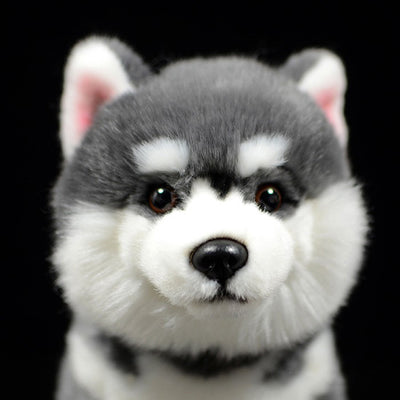 Peluche Perro Husky Siberiano Gris - Muñeco Realista de Simulación - Image 6