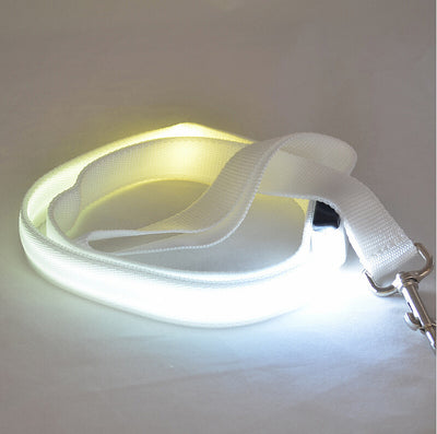 Correa LED Luminosa para Perros - Paseos Seguros de Noche - Image 7
