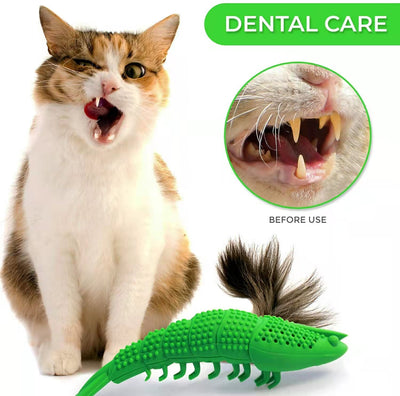 Juguete Interactivo de Catnip con Limpieza Dental 360° para Gatos - Image 2