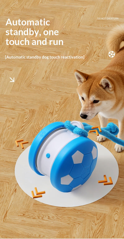 Juguete Interactivo Eléctrico para Gatos y Perros - Bola Autojugable - Image 15
