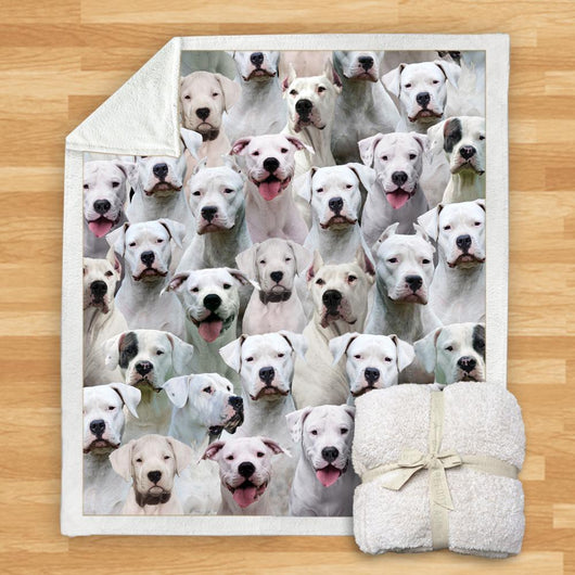Manta Franela Estampada para Perros - Image 36