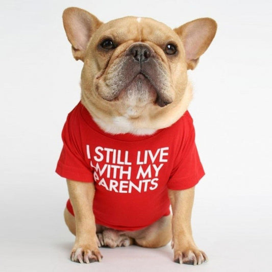 Polera Cuello Alto para Mascotas - Diseño Clásico y Cómodo