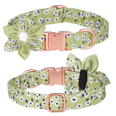 Juego de Collar y Correa Personalizado para Mascotas - Image 18