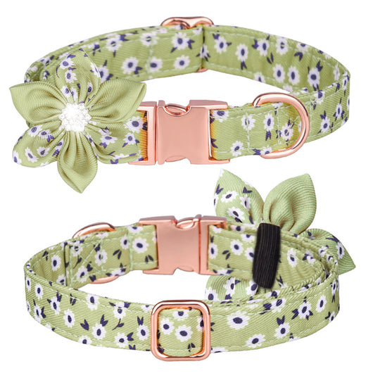 Juego de Collar y Correa Personalizado para Mascotas - Image 18