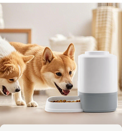 Comedero Automático Interactivo para Mascotas con Juegos Educativos - Image 12