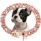 Pink Diamond Rose Gold