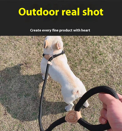 Cuerda de Entrenamiento para Pasear Perros con Agarre Manual - Image 26