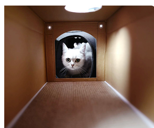 Casa Rascador para Gatos con Cartón Corrugado y Garras - Image 11
