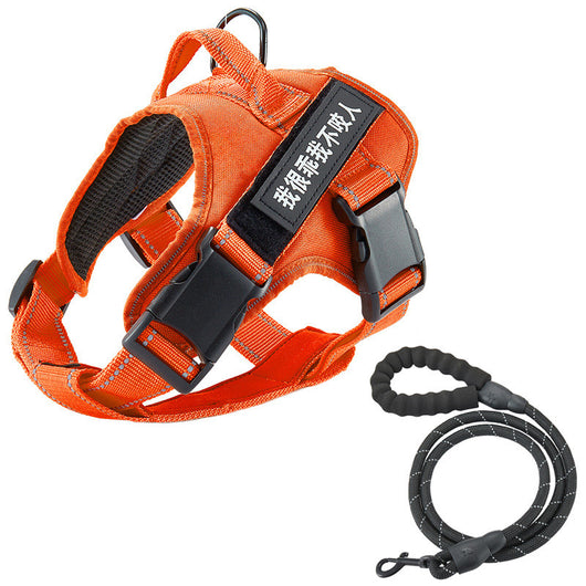 Arnés de Pecho con Correa para Perros - Image 4