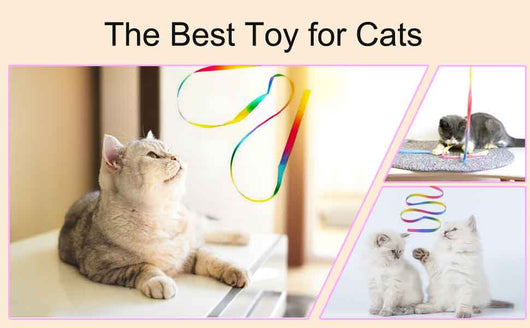 Varita Interactiva Arcoíris para Gatos - Juguete Teaser con Cintas de Colores - Image 14