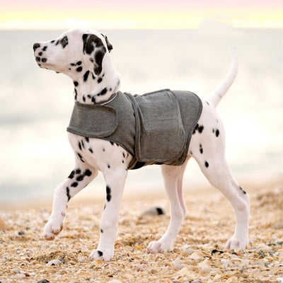 Chaleco Calmante para Perros - Abrigo Térmico Antianssiedad